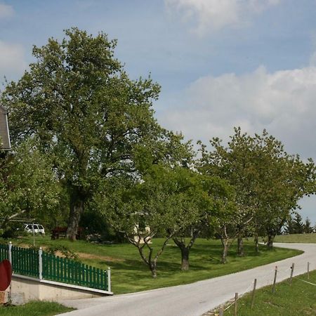 Bauernhof Hoenigshof Fischbach Dış mekan fotoğraf