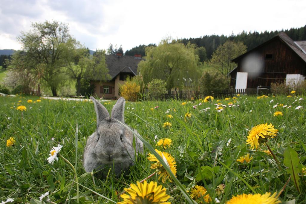 Bauernhof Hoenigshof Fischbach Dış mekan fotoğraf