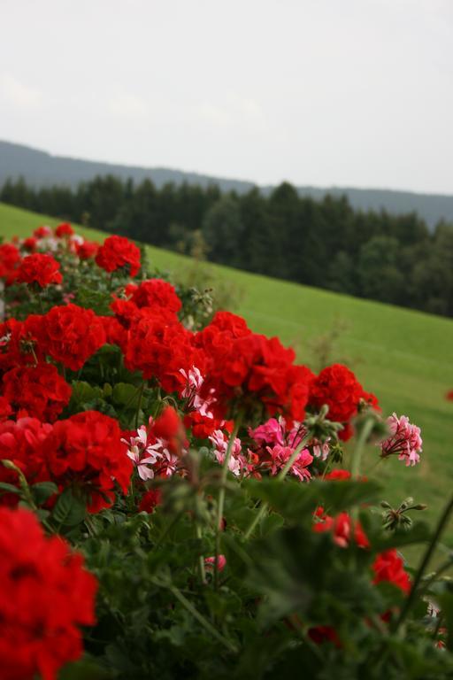Bauernhof Hoenigshof Fischbach Dış mekan fotoğraf
