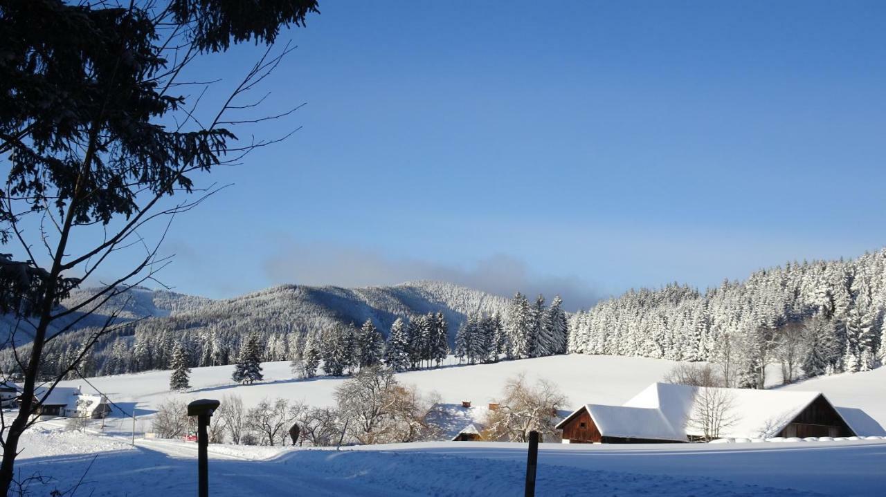 Bauernhof Hoenigshof Fischbach Dış mekan fotoğraf